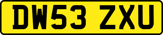 DW53ZXU