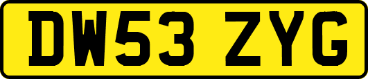 DW53ZYG