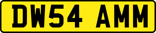DW54AMM