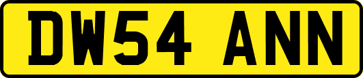 DW54ANN