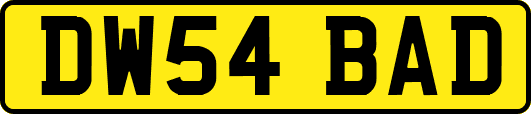 DW54BAD