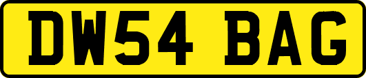 DW54BAG