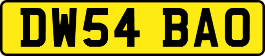 DW54BAO