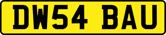 DW54BAU