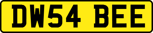 DW54BEE