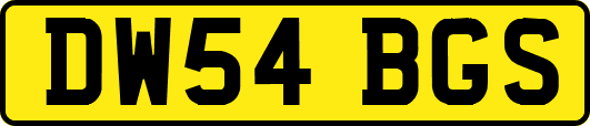 DW54BGS