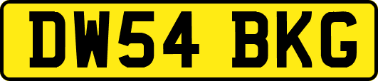 DW54BKG