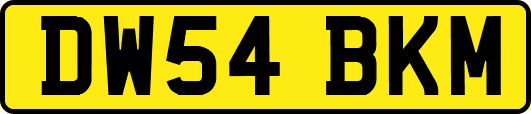 DW54BKM