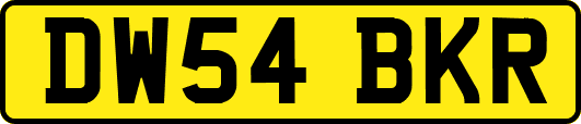 DW54BKR