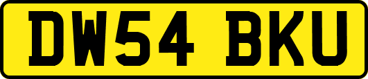 DW54BKU