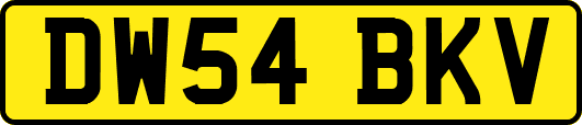 DW54BKV
