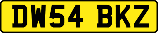DW54BKZ