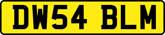 DW54BLM