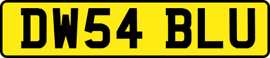 DW54BLU