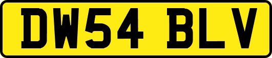 DW54BLV