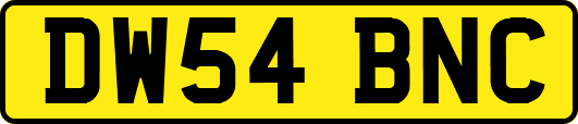 DW54BNC