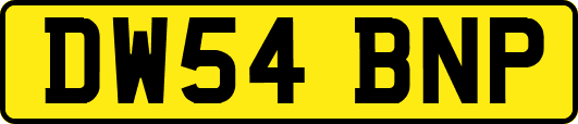 DW54BNP