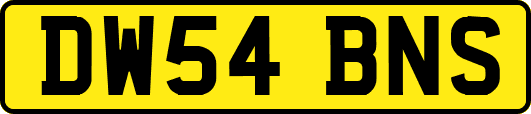 DW54BNS