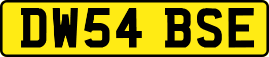 DW54BSE