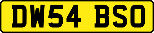 DW54BSO