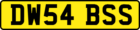 DW54BSS