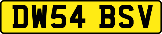 DW54BSV