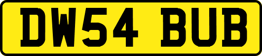 DW54BUB