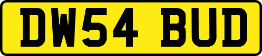 DW54BUD