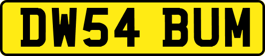 DW54BUM