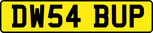 DW54BUP