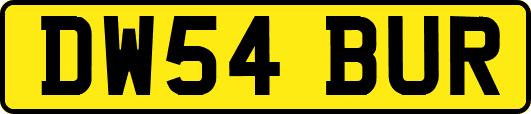 DW54BUR