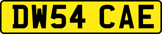 DW54CAE