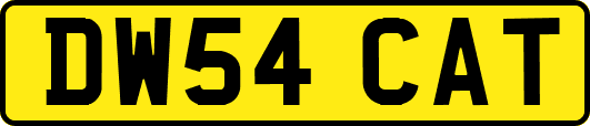 DW54CAT