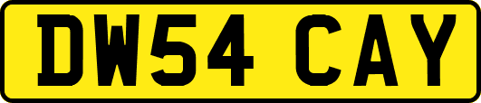 DW54CAY