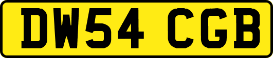 DW54CGB