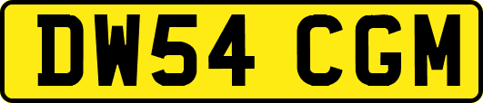 DW54CGM