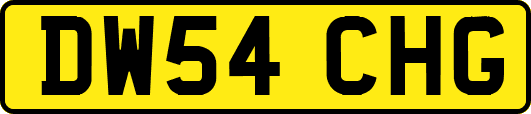 DW54CHG
