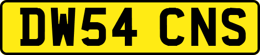 DW54CNS