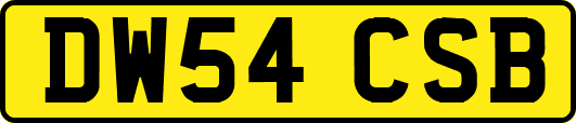 DW54CSB