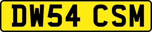 DW54CSM