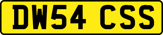 DW54CSS