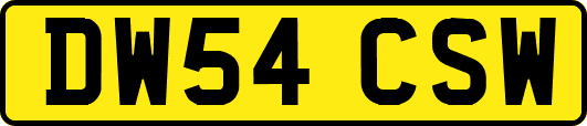 DW54CSW