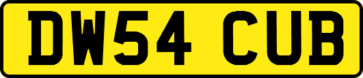 DW54CUB