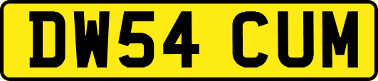 DW54CUM