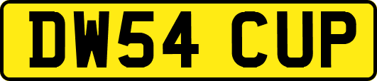 DW54CUP