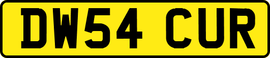 DW54CUR