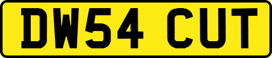 DW54CUT
