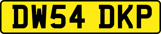 DW54DKP