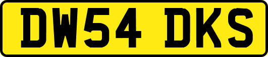 DW54DKS