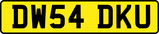 DW54DKU